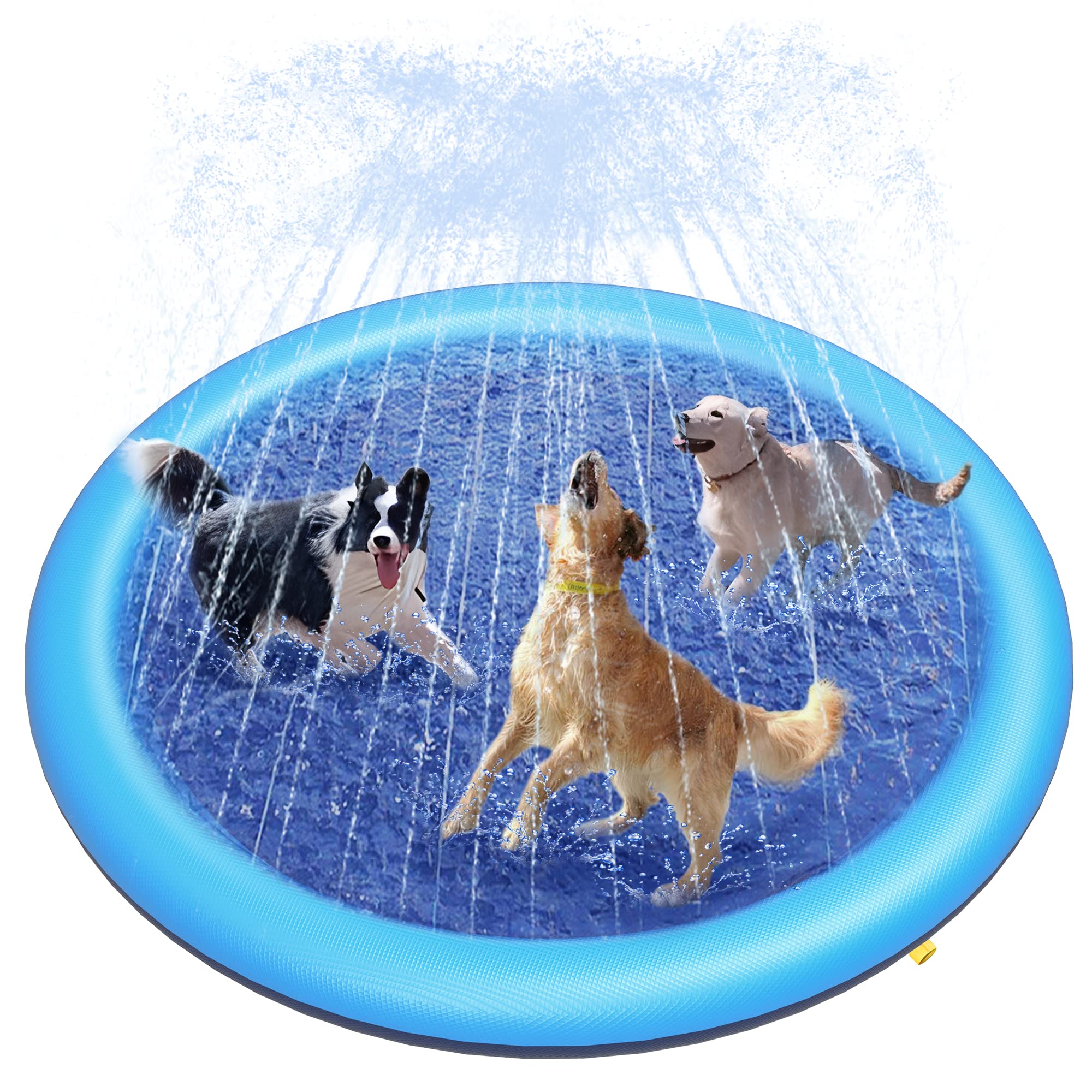 Outdoor Rug Waterproof - Tapete de Água para Cães com